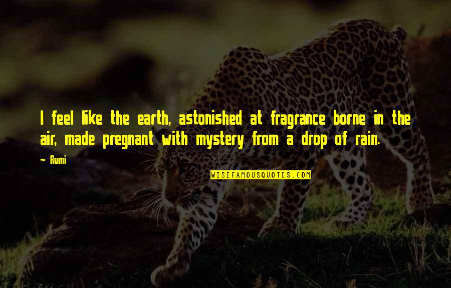 Roeders Monroeville Quotes By Rumi: I feel like the earth, astonished at fragrance Roeders Monroeville Quotes By Rumi: I feel like the earth, astonished at fragrance