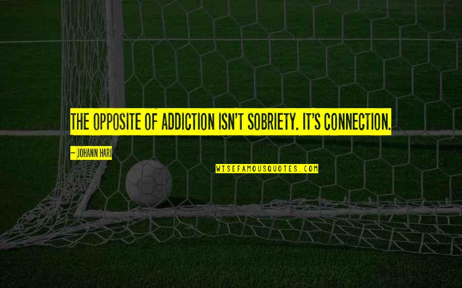 Roediger Sinking Quotes By Johann Hari: The opposite of addiction isn't sobriety. It's connection.