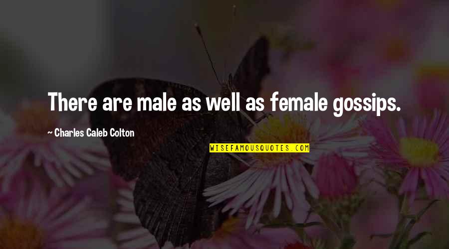 Roelf Meyer Quotes By Charles Caleb Colton: There are male as well as female gossips.