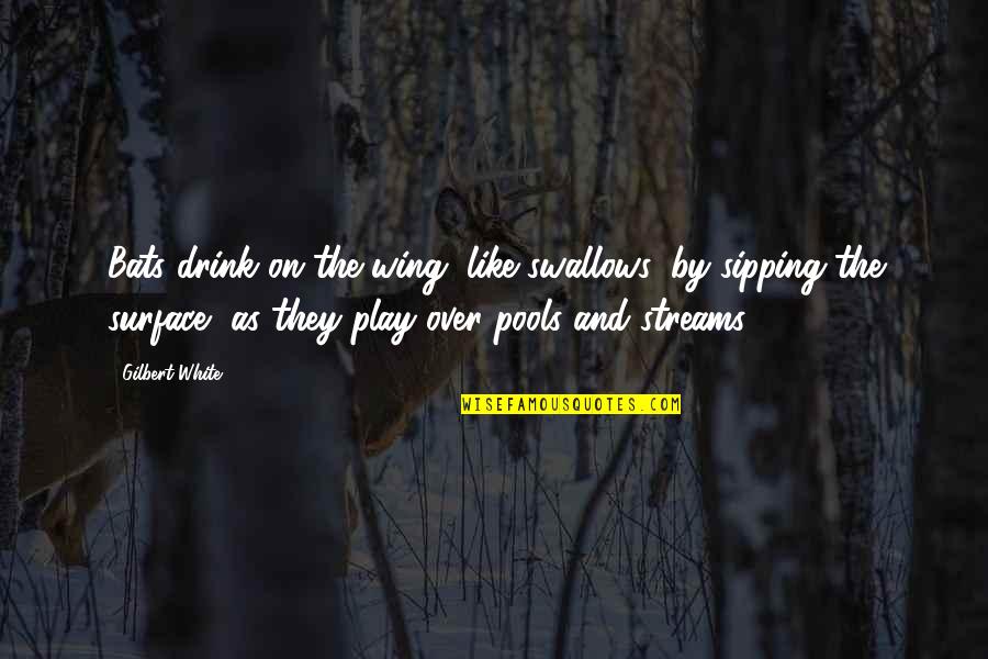 Roennfeldt Quotes By Gilbert White: Bats drink on the wing, like swallows, by Roennfeldt Quotes By Gilbert White: Bats drink on the wing, like swallows, by