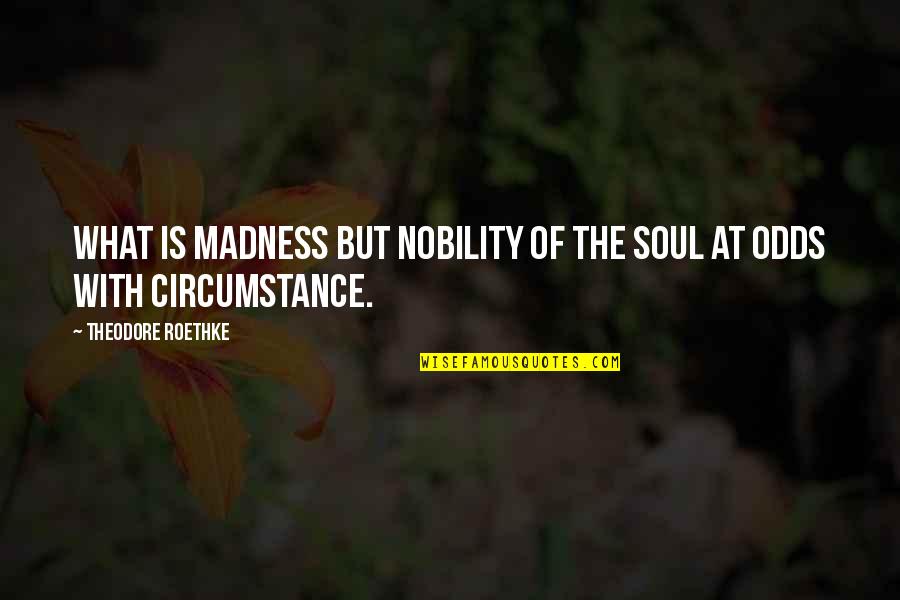 Roethke Quotes By Theodore Roethke: What is madness but nobility of the soul