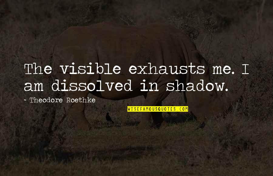 Roethke Quotes By Theodore Roethke: The visible exhausts me. I am dissolved in