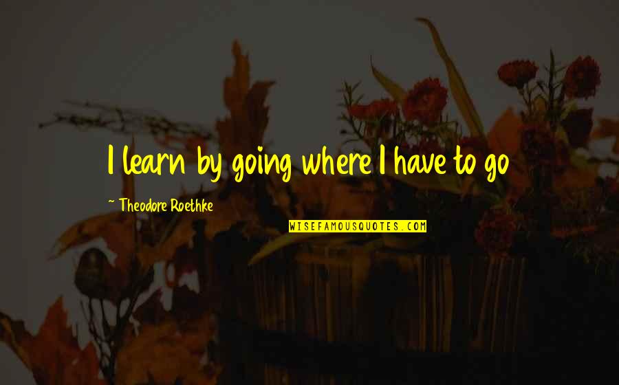 Roethke Quotes By Theodore Roethke: I learn by going where I have to