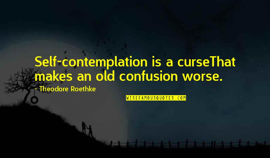 Roethke Quotes By Theodore Roethke: Self-contemplation is a curseThat makes an old confusion