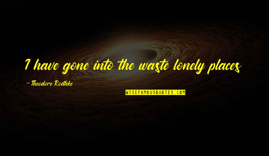 Roethke Quotes By Theodore Roethke: I have gone into the waste lonely places