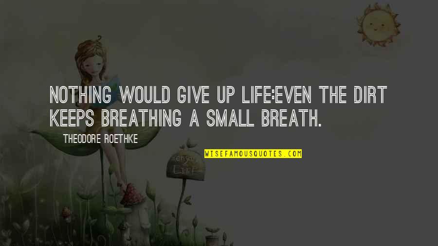 Roethke Quotes By Theodore Roethke: Nothing would give up life:Even the dirt keeps