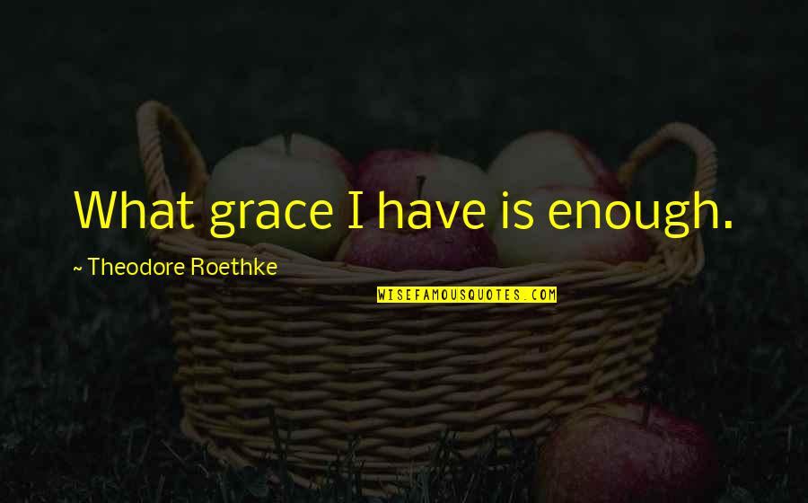 Roethke Quotes By Theodore Roethke: What grace I have is enough.