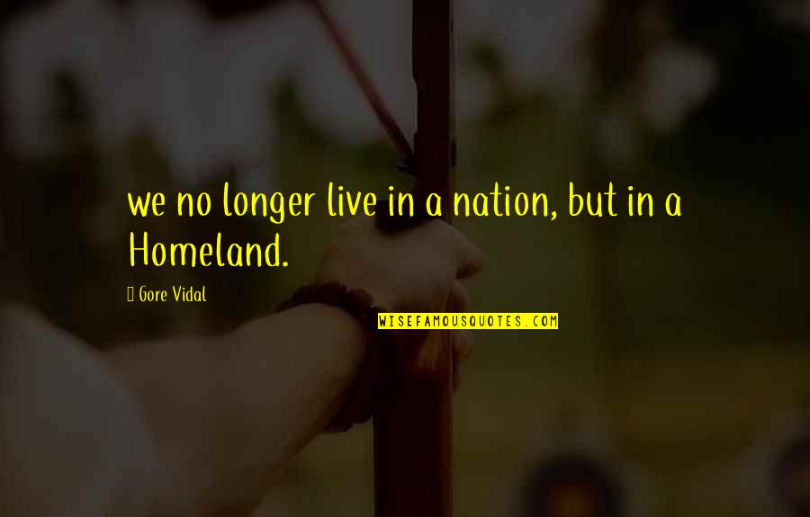 Roets Advocaat Quotes By Gore Vidal: we no longer live in a nation, but