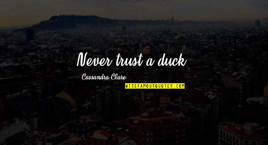 Roeul Quotes By Cassandra Clare: Never trust a duck.