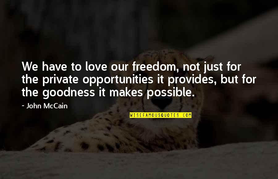 Roffman Law Quotes By John McCain: We have to love our freedom, not just