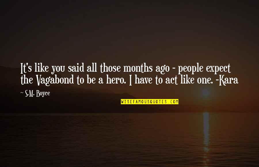 Rofl Quotes By S.M. Boyce: It's like you said all those months ago Rofl Quotes By S.M. Boyce: It's like you said all those months ago