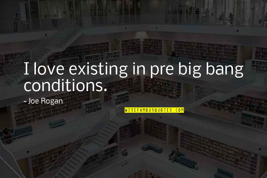 Rogan Quotes By Joe Rogan: I love existing in pre big bang conditions.