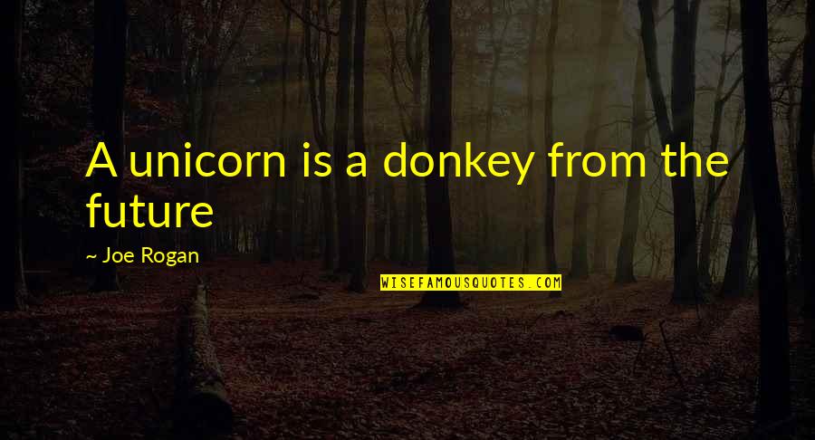 Rogan Quotes By Joe Rogan: A unicorn is a donkey from the future