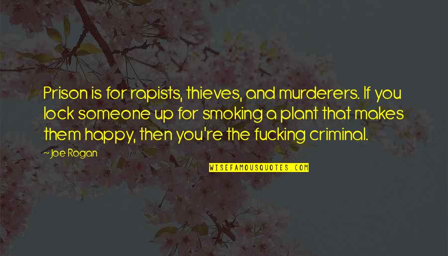 Rogan's Quotes By Joe Rogan: Prison is for rapists, thieves, and murderers. If