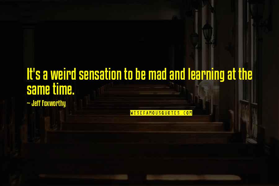 Rogatis Korean Quotes By Jeff Foxworthy: It's a weird sensation to be mad and Rogatis Korean Quotes By Jeff Foxworthy: It's a weird sensation to be mad and