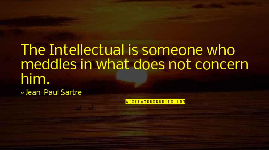 Rogelio De La Vega Funny Quotes By Jean-Paul Sartre: The Intellectual is someone who meddles in what