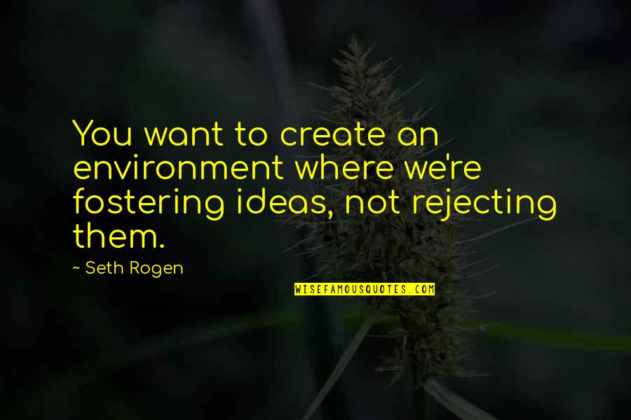 Rogen E Quotes By Seth Rogen: You want to create an environment where we're