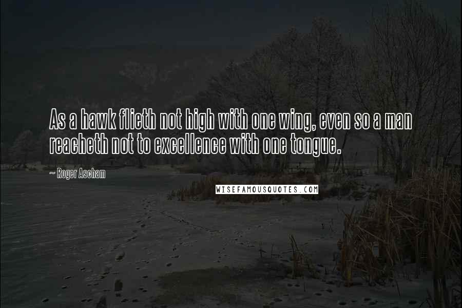 Roger Ascham quotes: As a hawk flieth not high with one wing, even so a man reacheth not to excellence with one tongue.