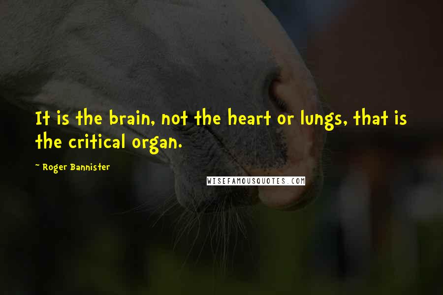 Roger Bannister quotes: It is the brain, not the heart or lungs, that is the critical organ.