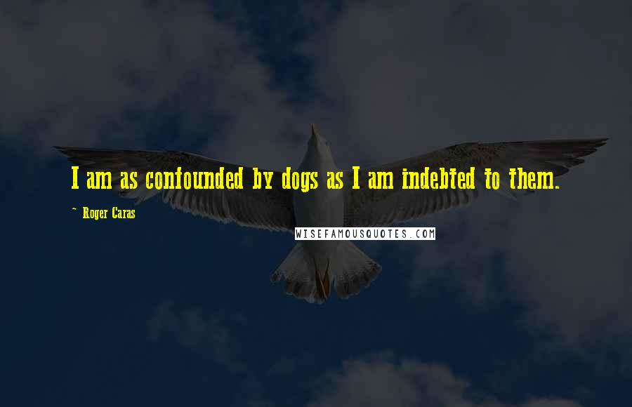 Roger Caras quotes: I am as confounded by dogs as I am indebted to them.