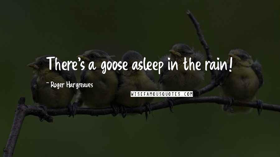 Roger Hargreaves quotes: There's a goose asleep in the rain!