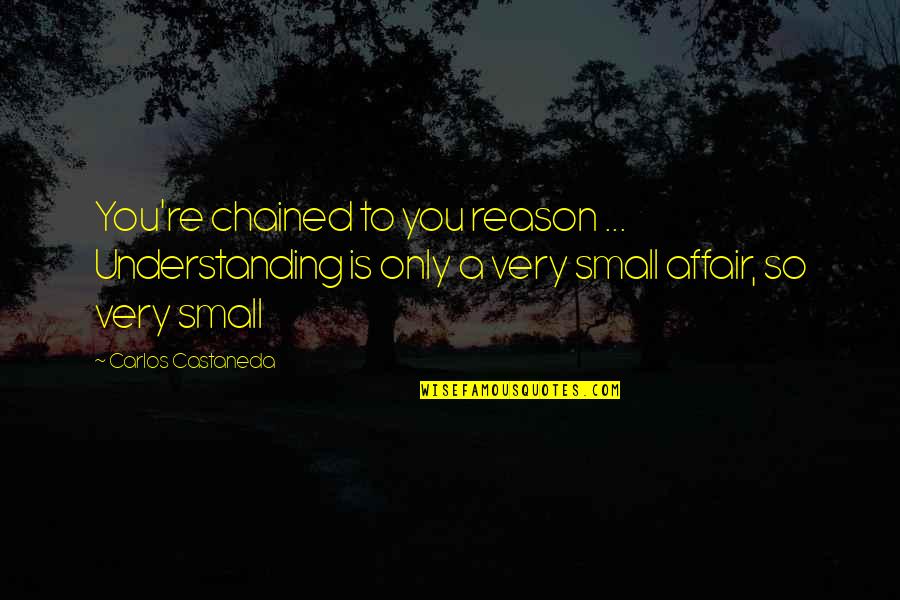 Roger Hargreaves Quotes By Carlos Castaneda: You're chained to you reason ... Understanding is