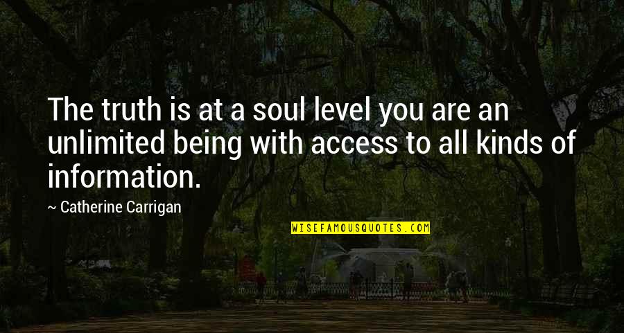 Roger Raker Quotes By Catherine Carrigan: The truth is at a soul level you Roger Raker Quotes By Catherine Carrigan: The truth is at a soul level you