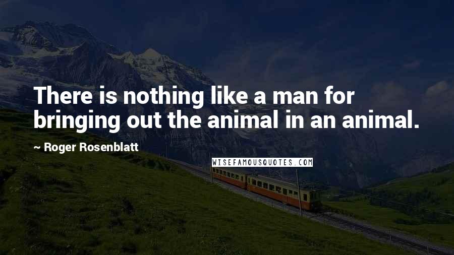 Roger Rosenblatt quotes: There is nothing like a man for bringing out the animal in an animal.