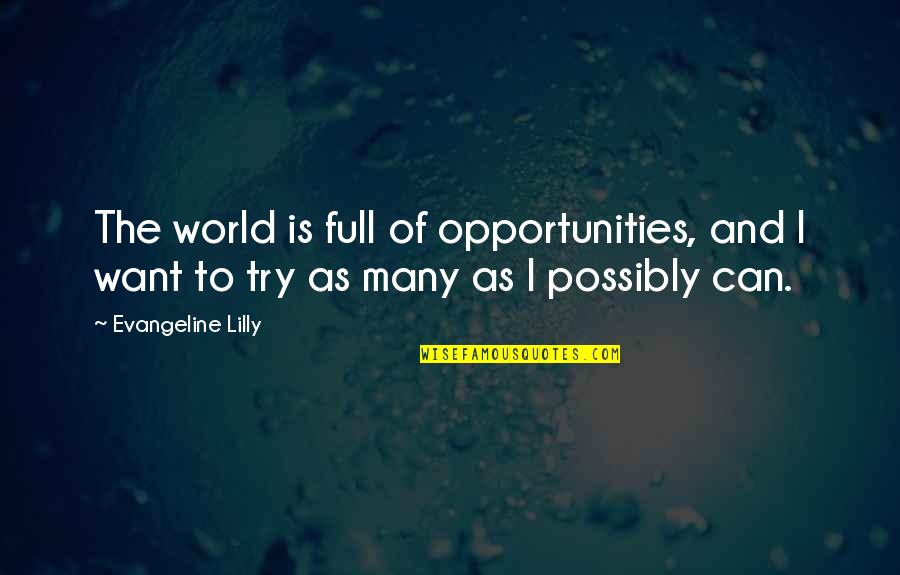 Roger Silverstone Quotes By Evangeline Lilly: The world is full of opportunities, and I