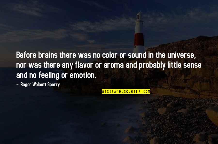 Roger Sperry Quotes By Roger Wolcott Sperry: Before brains there was no color or sound