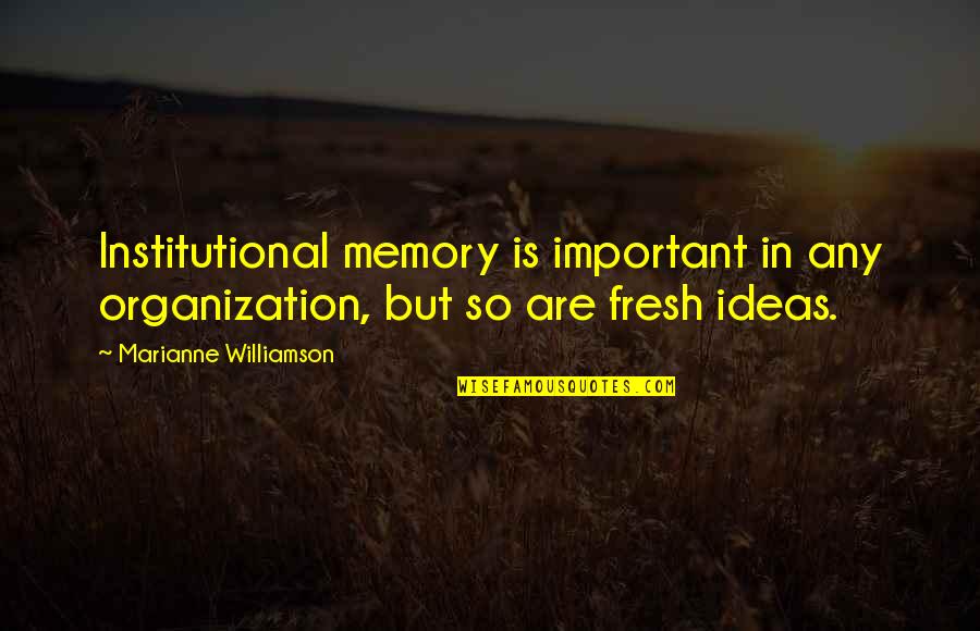 Rohan Lotr Quotes By Marianne Williamson: Institutional memory is important in any organization, but Rohan Lotr Quotes By Marianne Williamson: Institutional memory is important in any organization, but