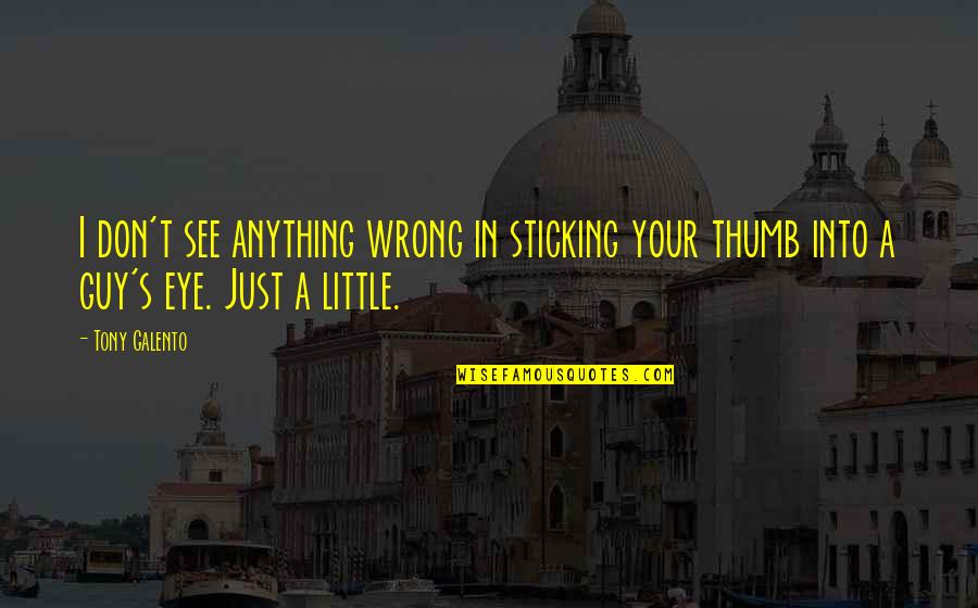 Rohan Quotes By Tony Galento: I don't see anything wrong in sticking your