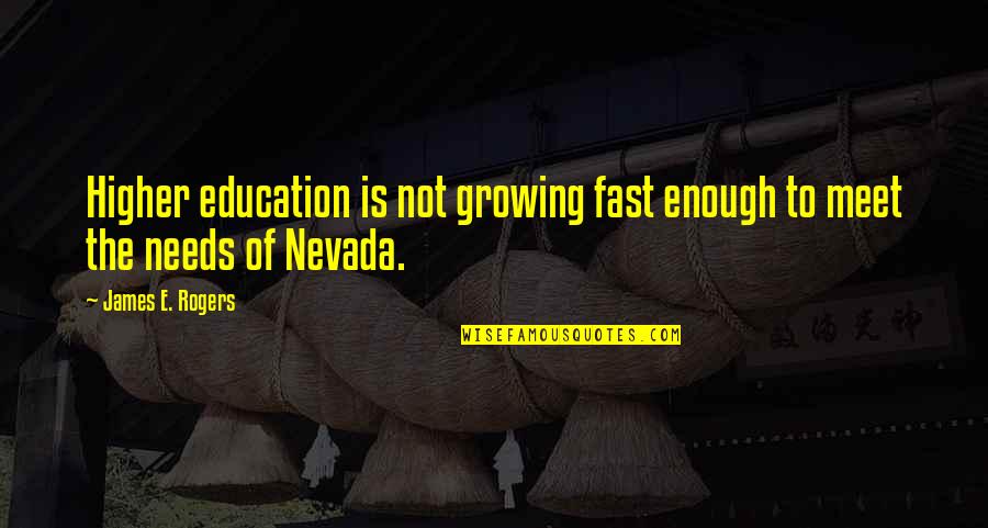 Rohbeson Quotes By James E. Rogers: Higher education is not growing fast enough to