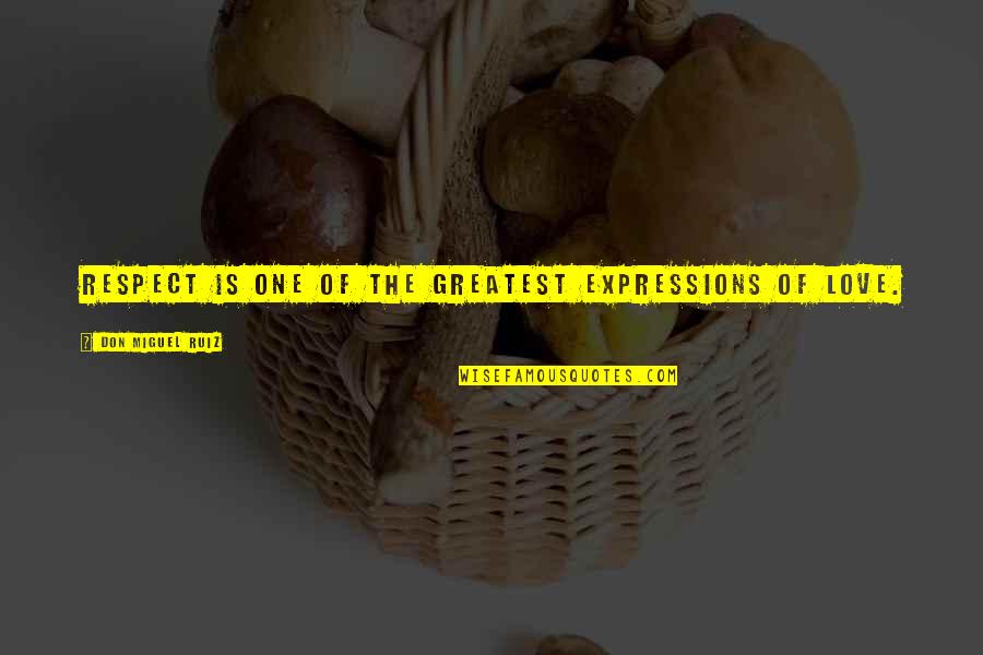 Rohlfing And Kalagian Quotes By Don Miguel Ruiz: Respect is one of the greatest expressions of Rohlfing And Kalagian Quotes By Don Miguel Ruiz: Respect is one of the greatest expressions of