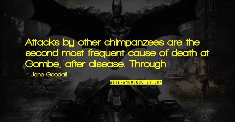 Rohloff Bikes Quotes By Jane Goodall: Attacks by other chimpanzees are the second most Rohloff Bikes Quotes By Jane Goodall: Attacks by other chimpanzees are the second most