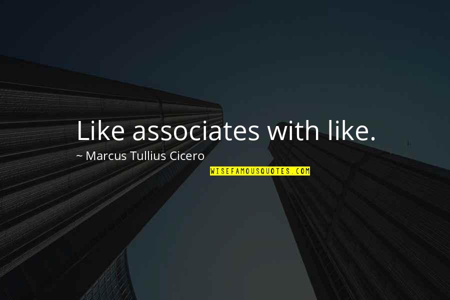 Roistering Chicken Quotes By Marcus Tullius Cicero: Like associates with like. Roistering Chicken Quotes By Marcus Tullius Cicero: Like associates with like.