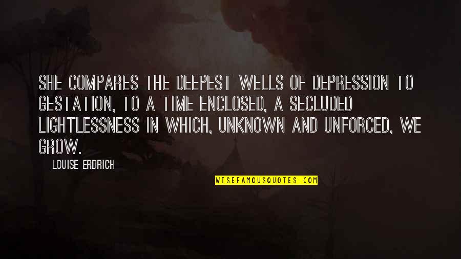 Rojizo In English Quotes By Louise Erdrich: She compares the deepest wells of depression to Rojizo In English Quotes By Louise Erdrich: She compares the deepest wells of depression to