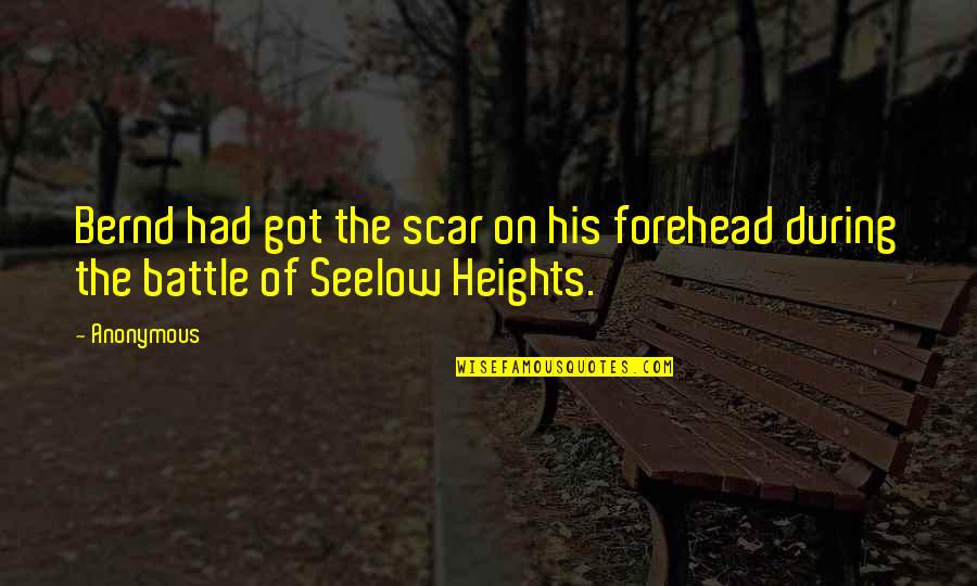 Rokesmith's Quotes By Anonymous: Bernd had got the scar on his forehead