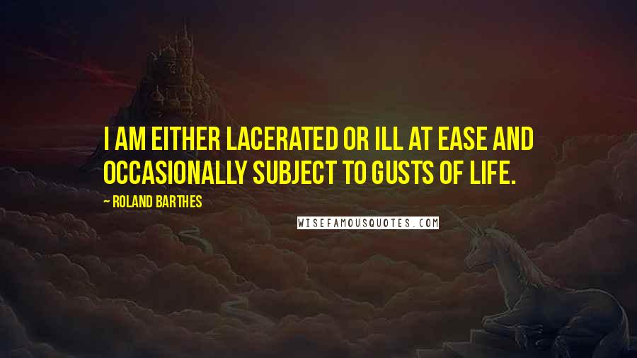 Roland Barthes quotes: I am either lacerated or ill at ease and occasionally subject to gusts of life.