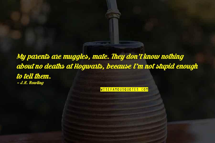Rolandic Fissure Quotes By J.K. Rowling: My parents are muggles, mate. They don't know