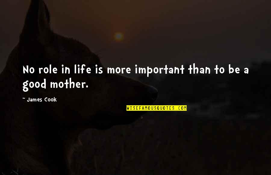 Role Of Mother In Our Life Quotes By James Cook: No role in life is more important than