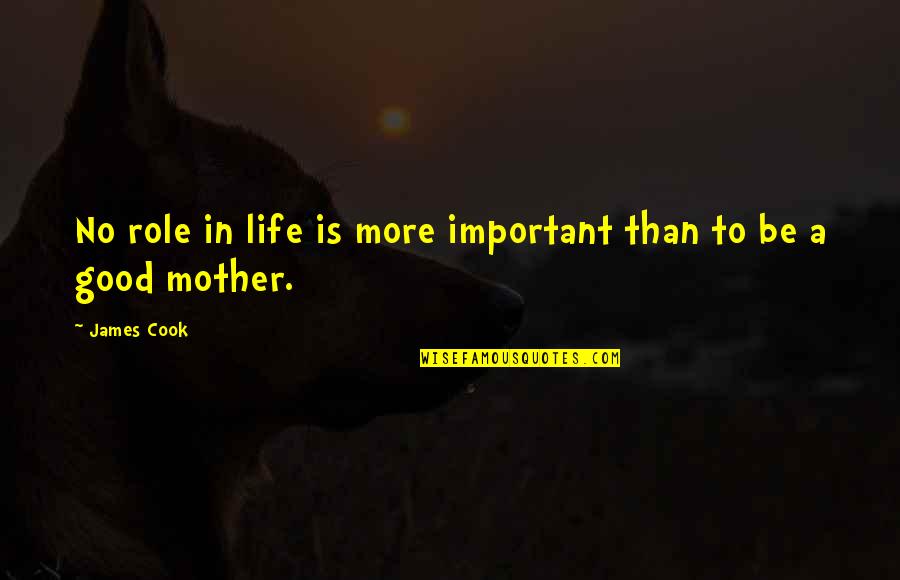 Role Of Mother Quotes By James Cook: No role in life is more important than