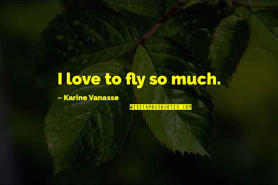 Role Of Students In Society Quotes By Karine Vanasse: I love to fly so much.