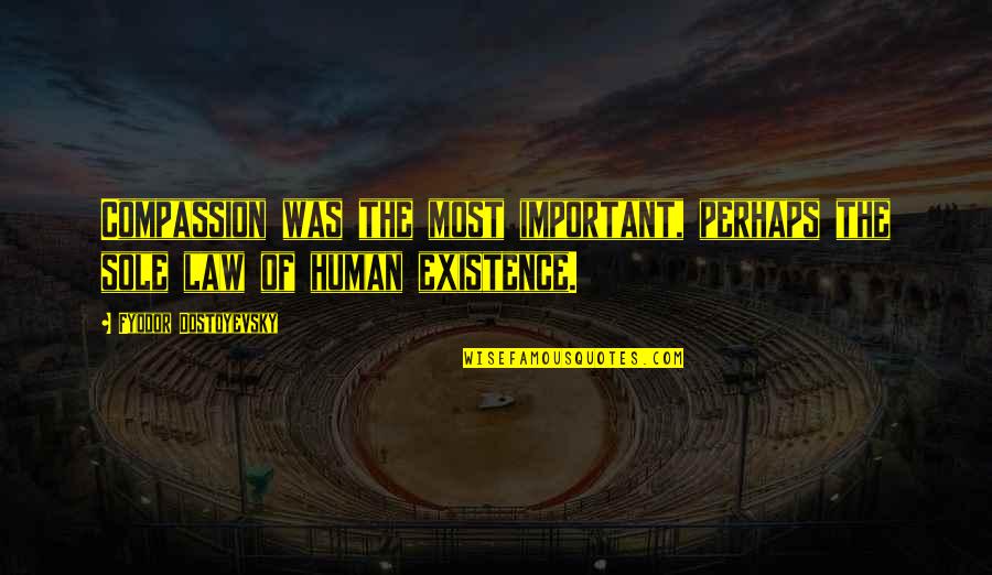 Role Of Teachers In Nation Building Quotes By Fyodor Dostoyevsky: Compassion was the most important, perhaps the sole