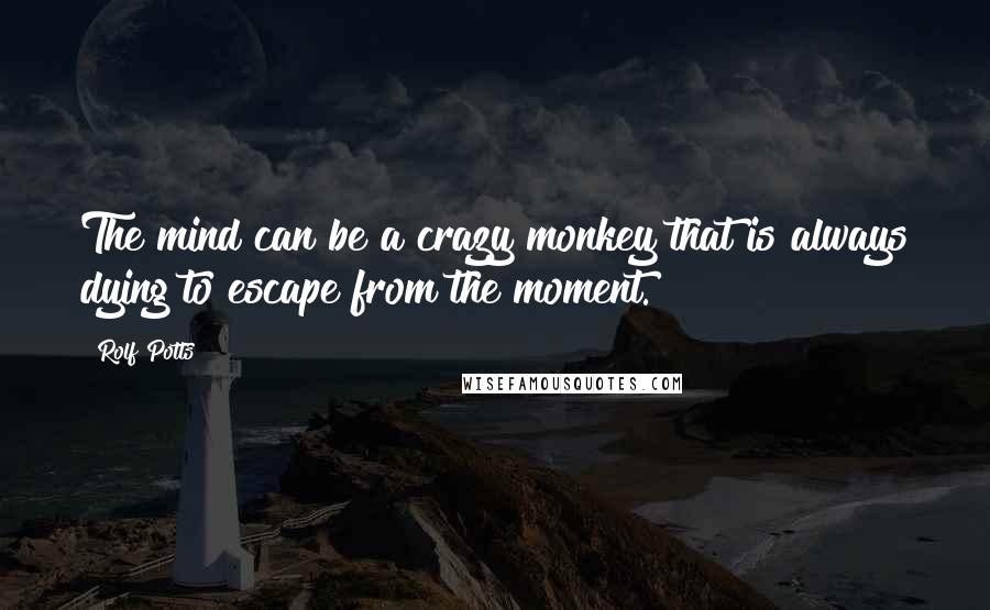 Rolf Potts quotes: The mind can be a crazy monkey that is always dying to escape from the moment.