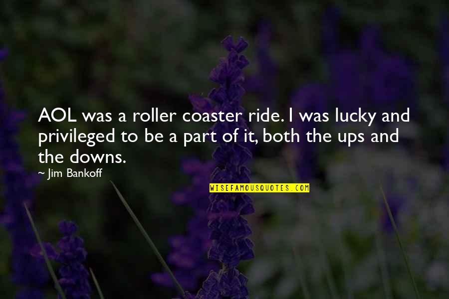 Roller Coaster Quotes By Jim Bankoff: AOL was a roller coaster ride. I was