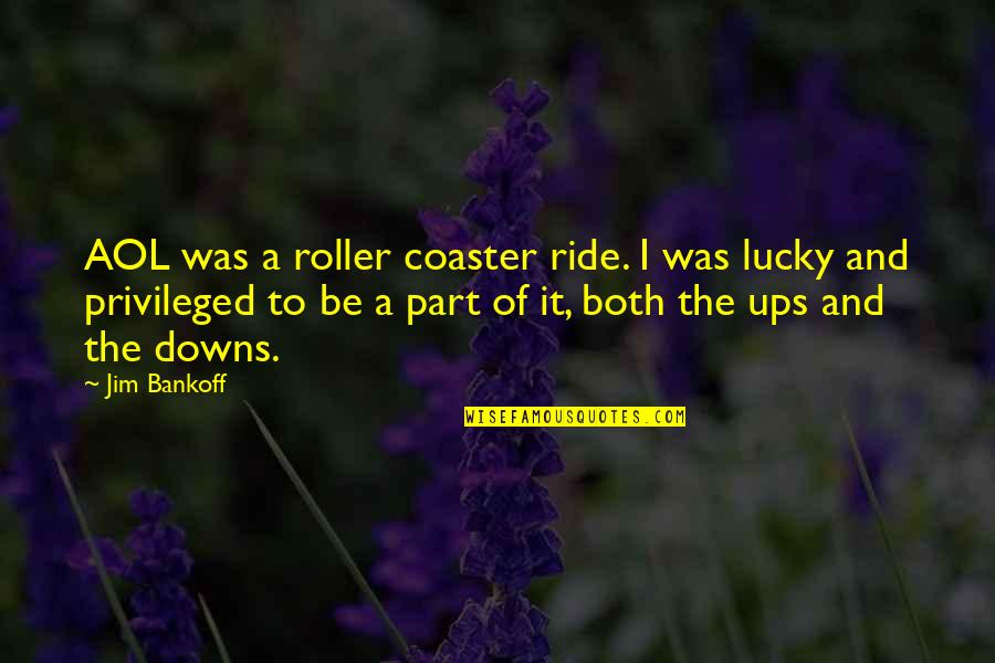 Roller Coaster Ride Quotes By Jim Bankoff: AOL was a roller coaster ride. I was