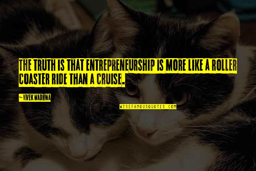 Roller Coaster Ride Quotes By Vivek Wadhwa: The truth is that entrepreneurship is more like