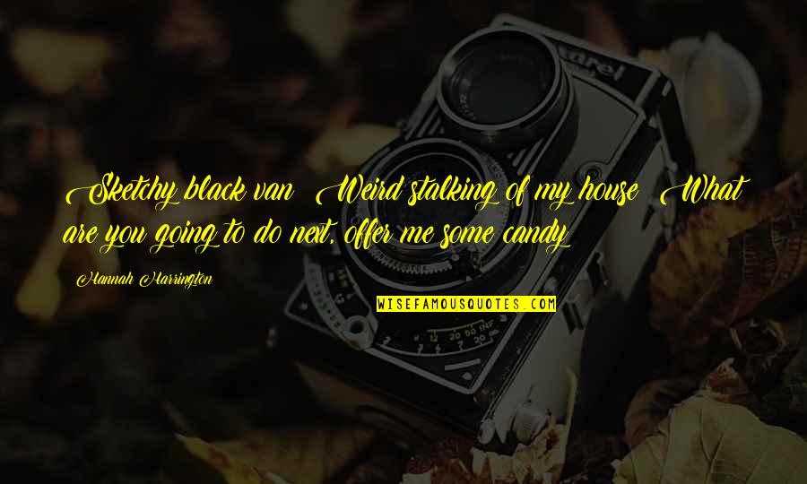 Rollicking Rose Quotes By Hannah Harrington: Sketchy black van? Weird stalking of my house?