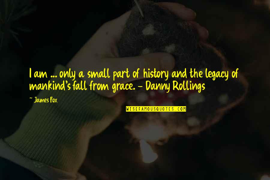 Rollings Quotes By James Fox: I am ... only a small part of